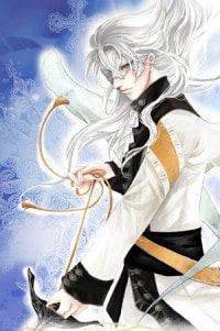 《圣域武神》
