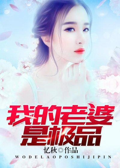《我的老婆是极品》