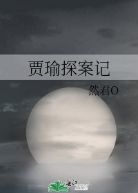 《(红楼同人)贾瑜探案记》