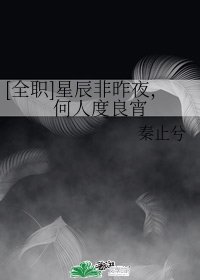 （BL/小说同人）[全职]星辰非昨夜，何人度良宵
