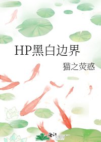 HP黑白边界