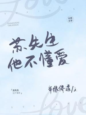 《苏先生他不懂爱》