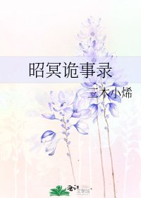昭冥诡事录