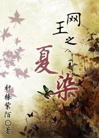 《网王之夏染》